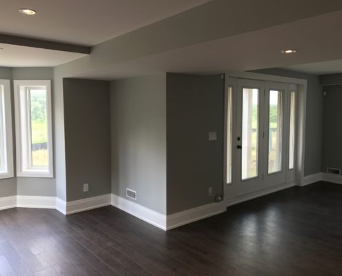 basement renovation in Georgetown